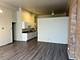 204 E Washington Unit 204, Joliet, IL 60433