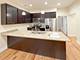 2842 S Union Unit 1, Chicago, IL 60616
