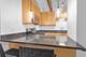 1307 S Wabash Unit 301, Chicago, IL 60605