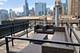 1307 S Wabash Unit 301, Chicago, IL 60605