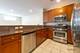 915 S Oak Park Unit 1B, Oak Park, IL 60304