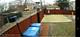 440 N Monticello, Chicago, IL 60624