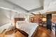 1439 S Michigan Unit 107, Chicago, IL 60605