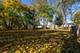 218 S Fairfield, Lombard, IL 60148