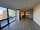 451 E Pershing Unit 301, Chicago, IL 60653