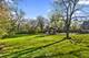 8609 W 121st, Palos Park, IL 60464