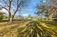 3068 Hickory, Homewood, IL 60430