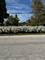 3068 Hickory, Homewood, IL 60430