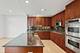 415 E North Water Unit 1003, Chicago, IL 60611