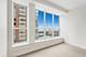 415 E North Water Unit 1003, Chicago, IL 60611