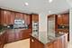 415 E North Water Unit 1003, Chicago, IL 60611