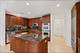 415 E North Water Unit 1003, Chicago, IL 60611