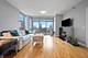 1600 S Prairie Unit 1409, Chicago, IL 60616
