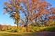 840 Arbor, West Chicago, IL 60185