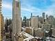 2 E Erie Unit 3301, Chicago, IL 60611