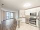 630 N State Unit 2204, Chicago, IL 60654