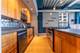 1910 S Indiana Unit 421, Chicago, IL 60616