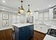 2850 W Henderson Unit 1, Chicago, IL 60618