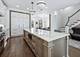 441 W Deming, Chicago, IL 60614