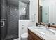 441 W Deming, Chicago, IL 60614