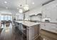 441 W Deming, Chicago, IL 60614