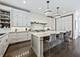 441 W Deming, Chicago, IL 60614
