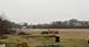 37390 N Dilley's, Wadsworth, IL 60083