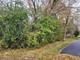 33211 N Island, Grayslake, IL 60030