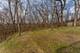 168 Winston, Bolingbrook, IL 60440