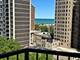 1450 N Astor Unit 15AB, Chicago, IL 60610