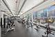 415 E North Water Unit 706, Chicago, IL 60611