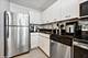 440 N Wabash Unit 4409, Chicago, IL 60611