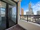 1255 S State Unit 1703, Chicago, IL 60605