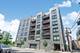 650 N Morgan Unit 202, Chicago, IL 60642
