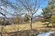 260 Timber Ridge Unit A, Lake Barrington, IL 60010