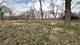 Lot 1 Royal Fox, Wayne, IL 60184