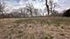 Lot 1 Royal Fox, Wayne, IL 60184