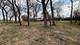 Lot 1 Royal Fox, Wayne, IL 60184