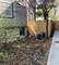 330 N Ridgeland, Oak Park, IL 60302