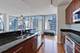 100 E 14th Unit 2010, Chicago, IL 60605