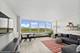 4800 S Chicago Beach Unit 503N, Chicago, IL 60615