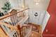 17W645 Lorraine, Addison, IL 60101