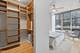 1720 S Michigan Unit 308, Chicago, IL 60616