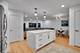 9317 Olcott, Morton Grove, IL 60053