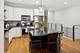 1536 N Bosworth Unit 1N, Chicago, IL 60642