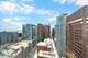 600 N Fairbanks Unit 3301, Chicago, IL 60611