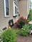 491 Saratoga, Algonquin, IL 60102