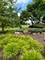 3252 Ridgefield, Lockport, IL 60441