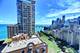 222 E Pearson Unit 203, Chicago, IL 60611