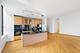 910 S Michigan Unit 1011, Chicago, IL 60605